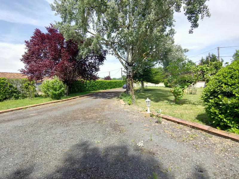 Viager - Maison - 164 m² - 6 pièces