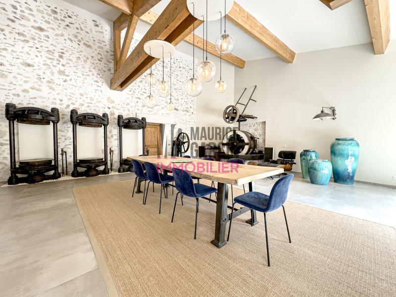 Maison - 460 m² - 12 pièces