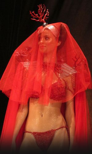 La Boutique du Corailleur