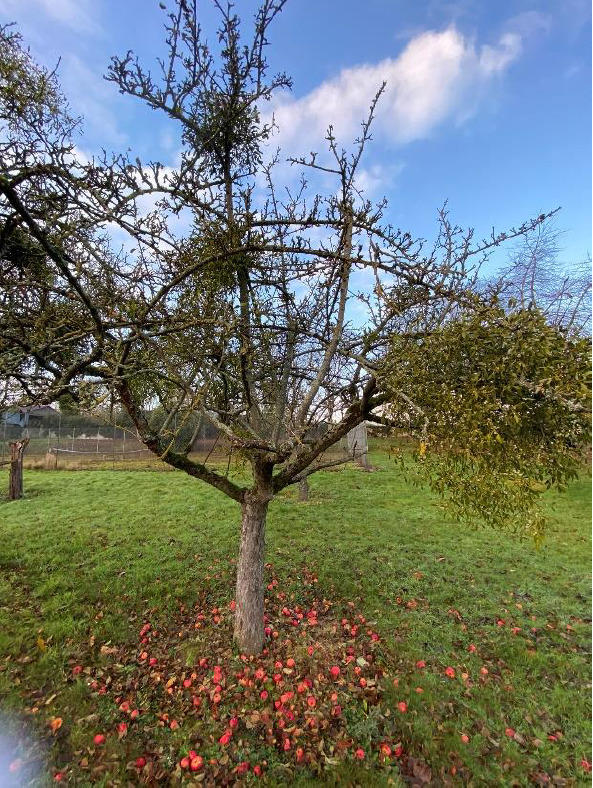 Terrain constructible - 441 m²