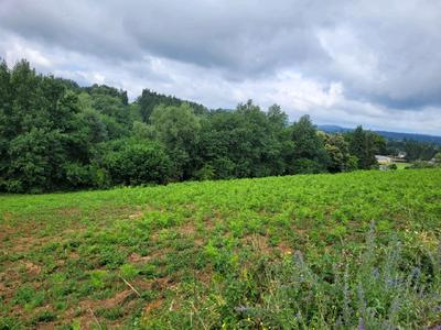 Terrain constructible - 4 856 m²