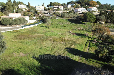 Terrain - 800 m²