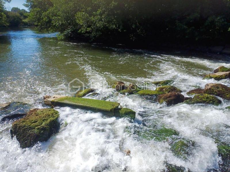 Terrain de loisirs - 8 163 m²