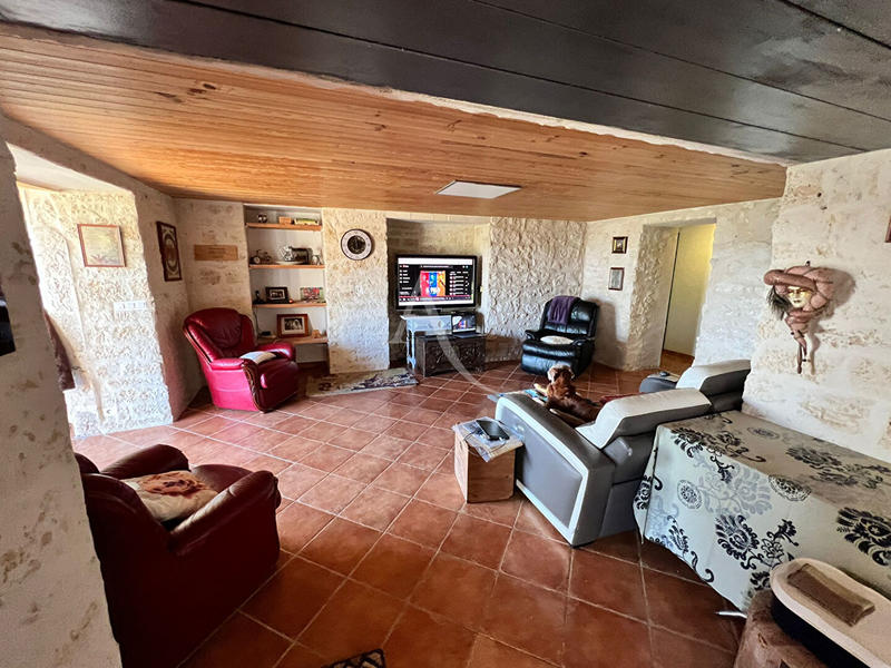 Maison - 250 m² - 5 pièces