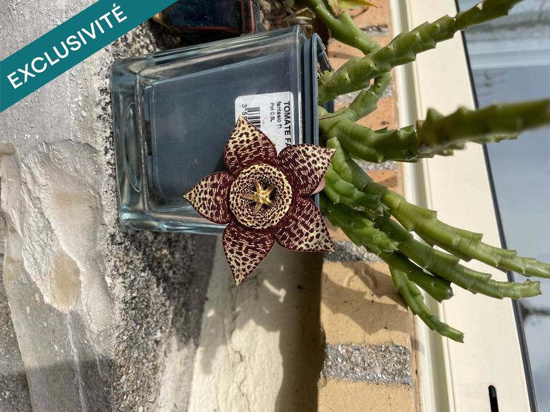 Maison - 125 m² - 6 pièces