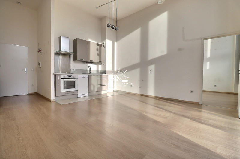 Loft - 43 m² - 2 pièces