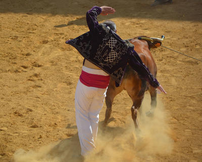 Visite guidée &quot;Course landaise&quot;