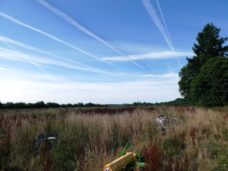 Local d'activité / Entrepôt - 200 m²