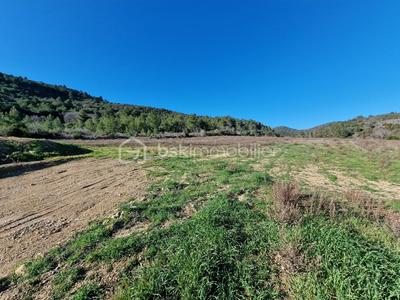 Terrain - 2 499 m²