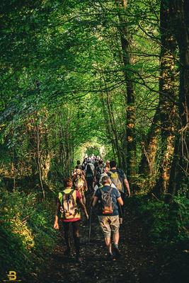 Randonnée Nocturne Terroir de Caux