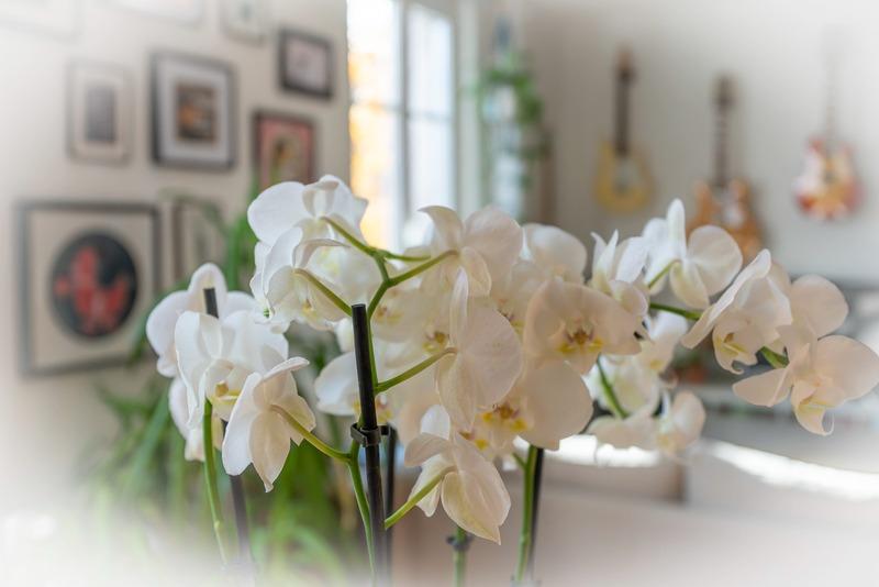 Appartement - 91 m² - 4 pièces