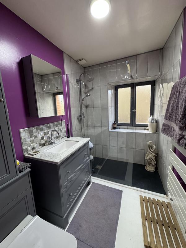 Maison ancienne - 450 m² - 12 pièces