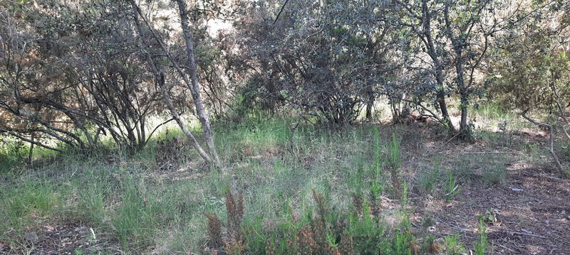 Terrain de loisirs - 17 646 m²