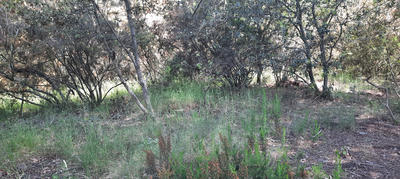 Terrain de loisirs - 17 646 m²