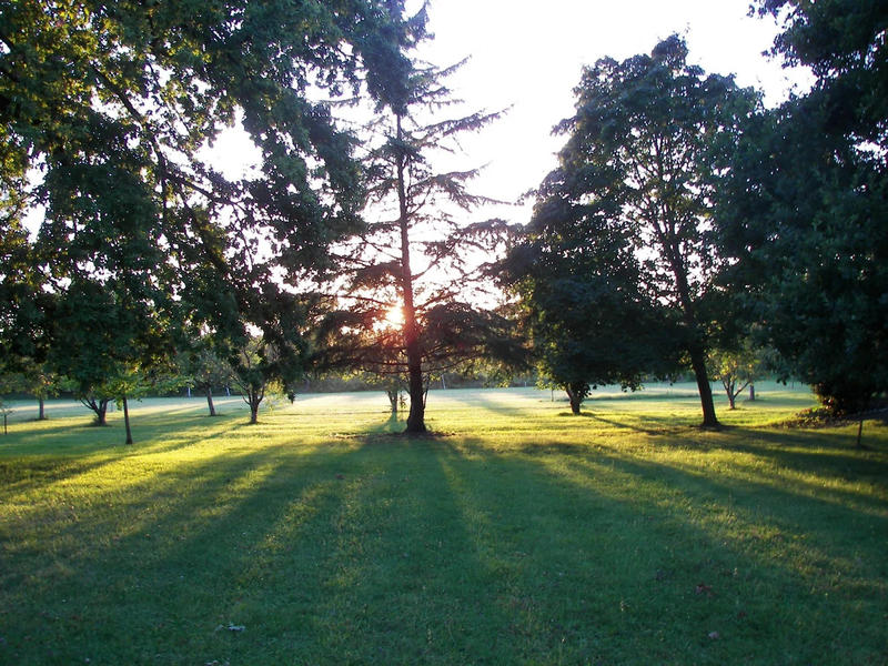 Manoir - 392 m² - 10 pièces