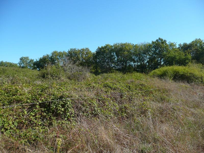 Terrain constructible - 5 345 m²