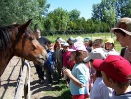 Le Mas de la Gallinière