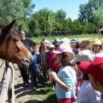 Le Mas de la Gallinière