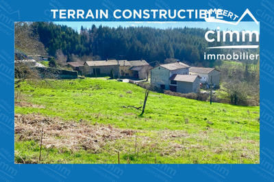 Terrain - 2 918 m²