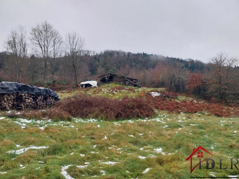 Propriété - 100 m² - 5 pièces