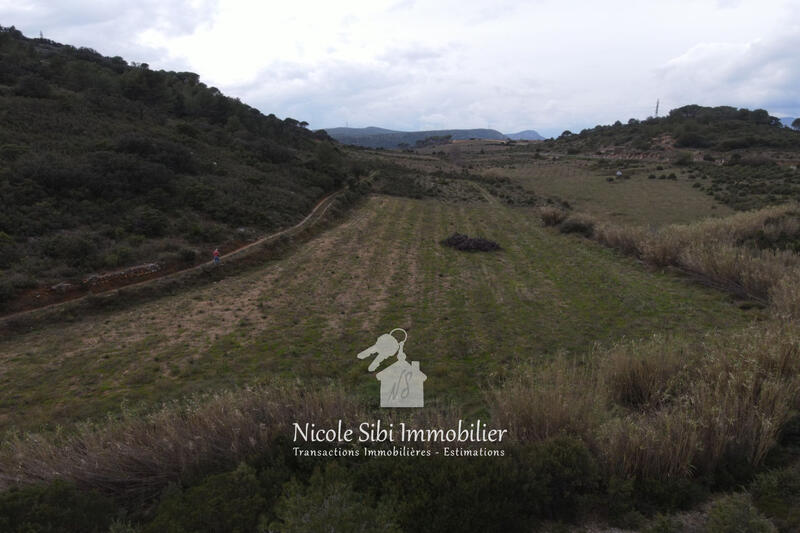 Terrain agricole - 6 860 m²