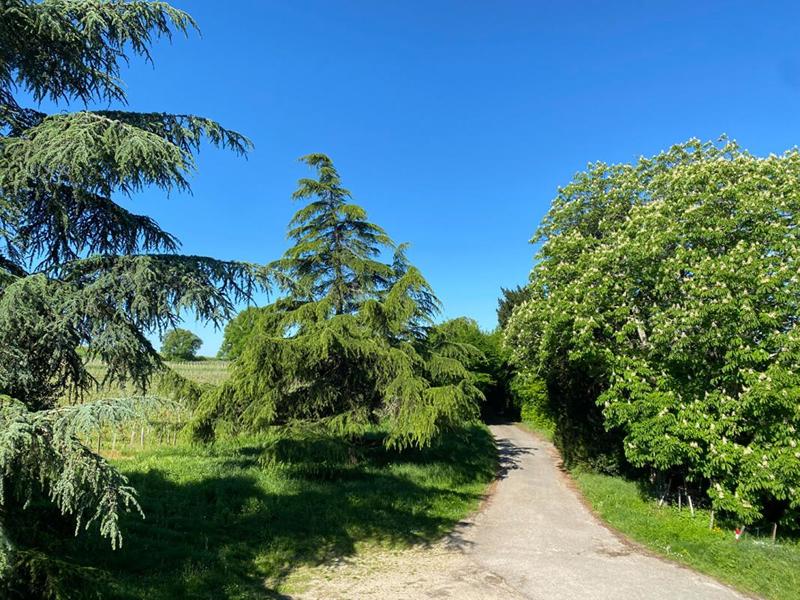 Demeure - 275 m² - 10 pièces