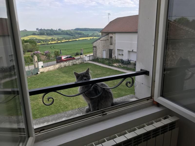 Immeuble - 20 pièces