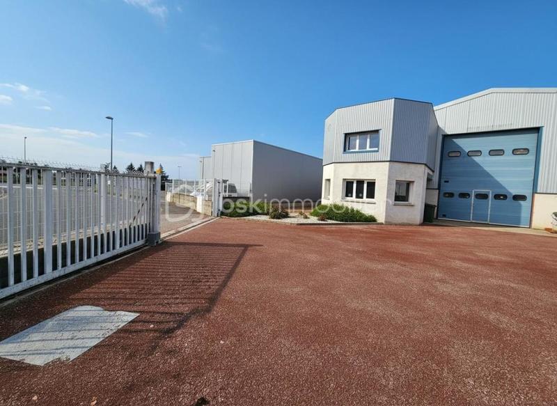 Bureau - 770 m² - 8 pièces