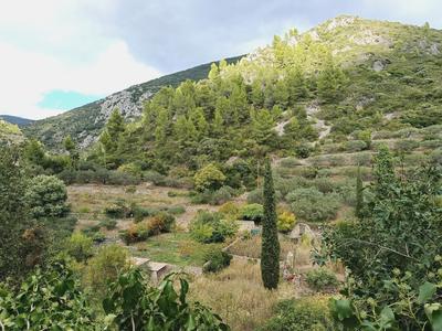 Maison ancienne - 100 m² - 4 pièces