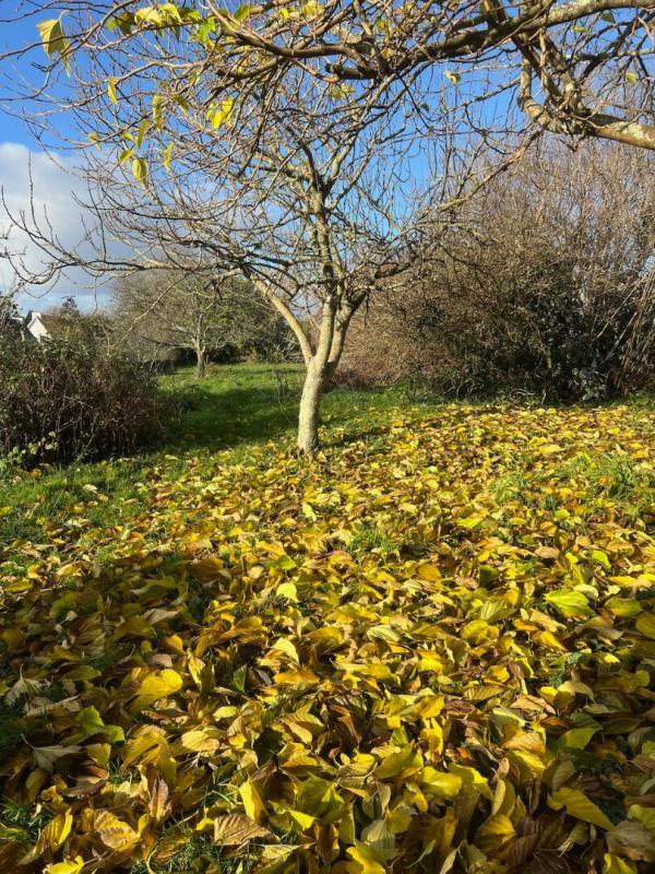 Maison - 70 m² - 4 pièces