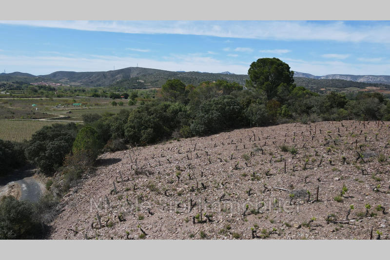 Terrain agricole - 19 998 m²