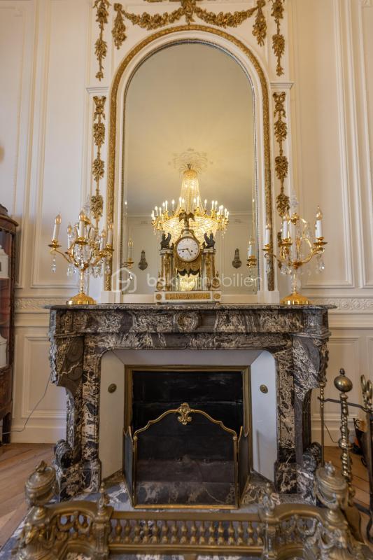 Hôtel particulier - 600 m² - 14 pièces