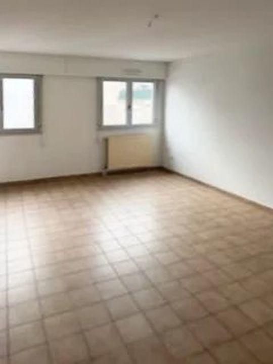 Appartement - 55 m² - 2 pièces