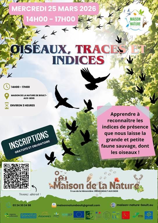 Oiseaux, traces et indices