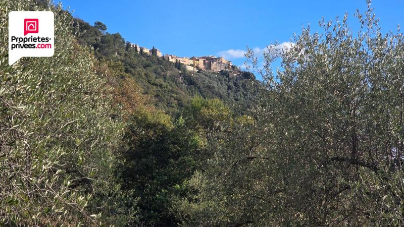 Terrain - 16 190 m²