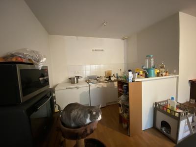 Appartement - 40 m² - 2 pièces