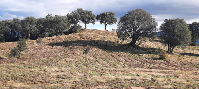 Terrain de loisirs - 11 975 m²