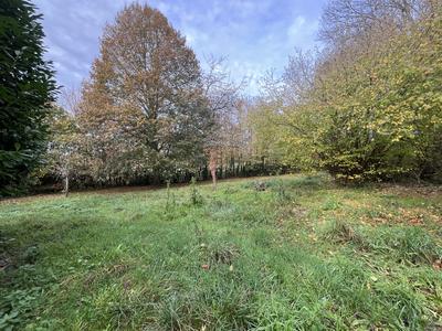 Maison ancienne - 59 m² - 3 pièces