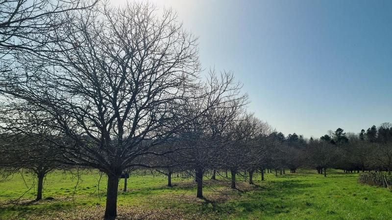 Étang - 170 000 m²