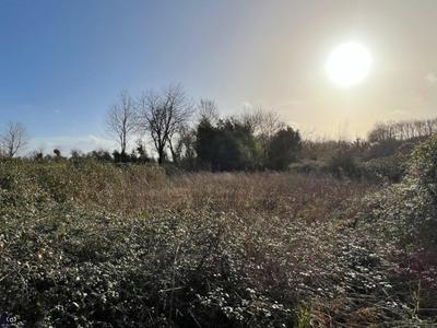 Maison ancienne - 103 m² - 5 pièces