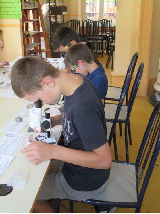 Atelier : les roches nous parlent