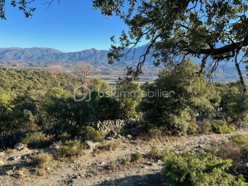 Terrain agricole - 5 667 m²