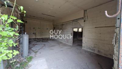 Local d'activité / Entrepôt - 1 231 m²