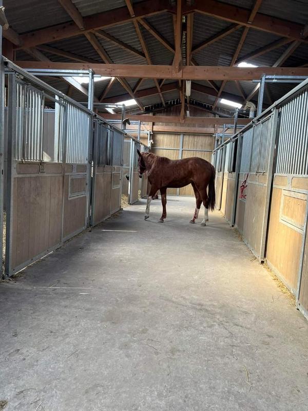 Manoir - 800 m² - 15 pièces