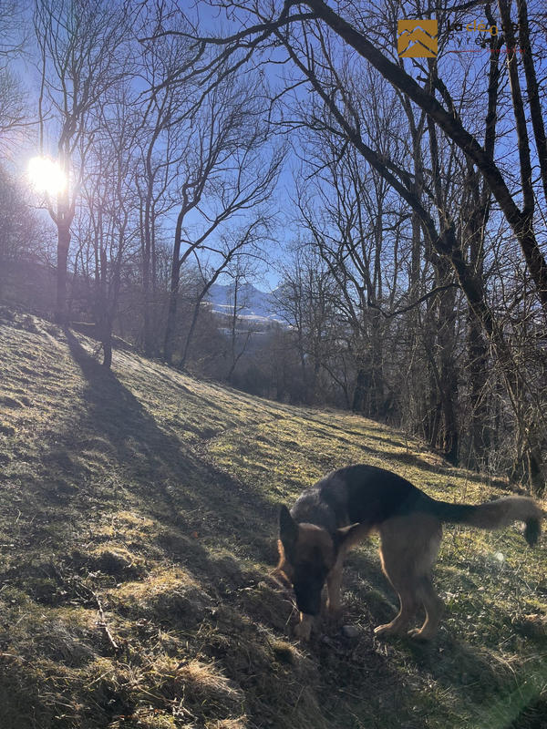 Maison ancienne - 60 m² - 2 pièces