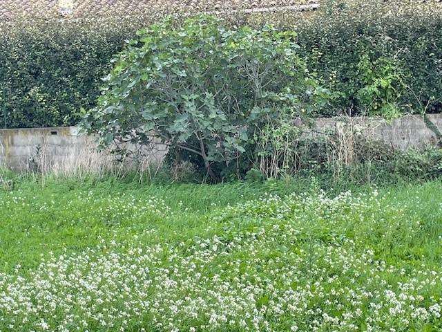 Terrain constructible - 400 m²