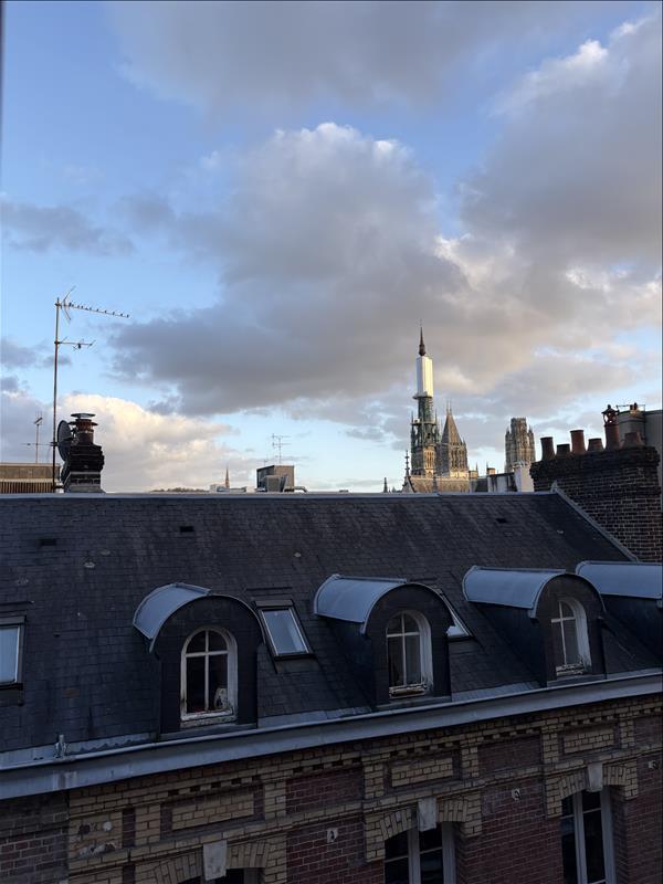 Studio - 20 m² - 1 pièce