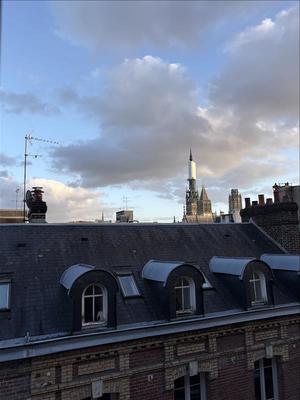 Studio - 20 m² - 1 pièce