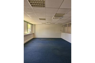 Bureau - 296 m²