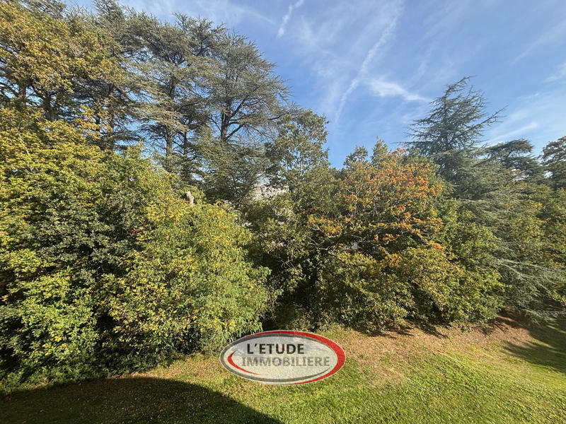 Bureau - 100 m² - 4 pièces